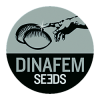 Dinafem Seeds