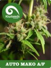 Auto Mako AF (Автоцветущие феминизированные)