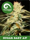 Kiwi Seeds Sugar Baby AF (Автоцветущие феминизированные)