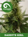 Kiwi Seeds Daddy’s Girl (Обычные)